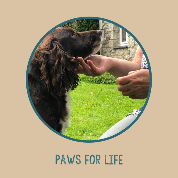 Paws for Life