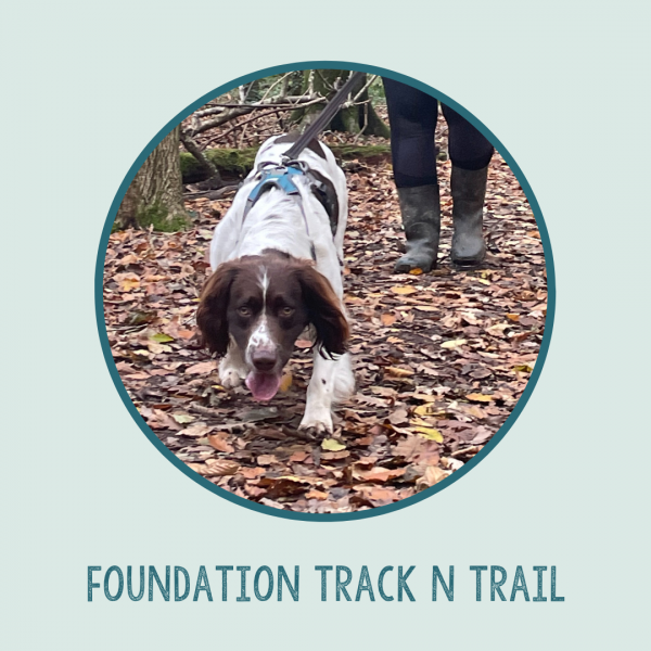 Foundation Track n Trail