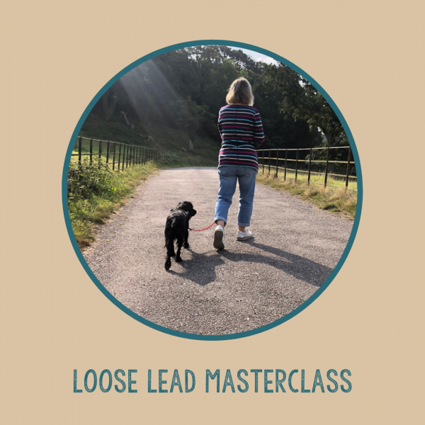 Loose Lead Master Class
