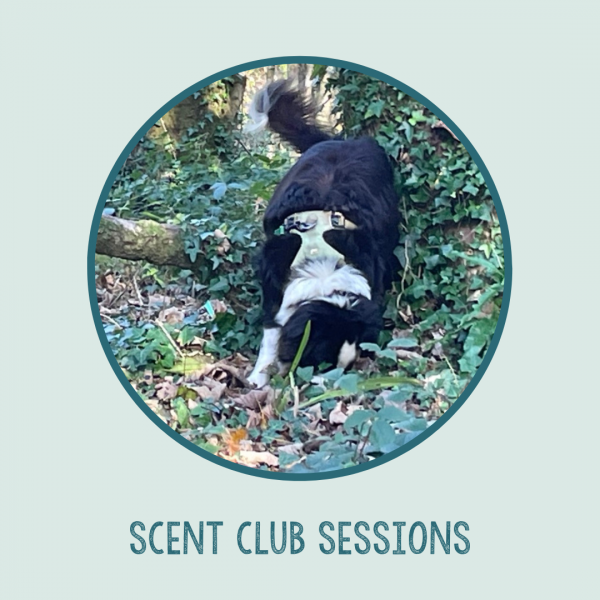 Scent Club Sessions