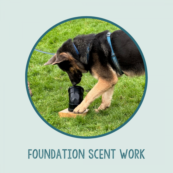 Foundation Scent Work