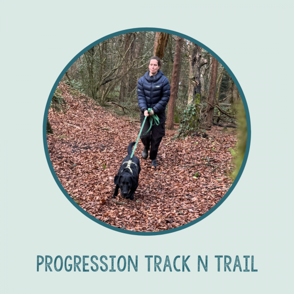 Progression Track n Trail