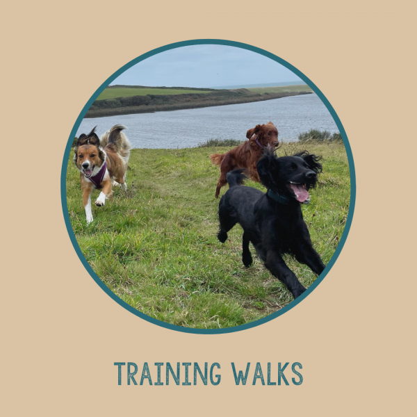 Training Walks