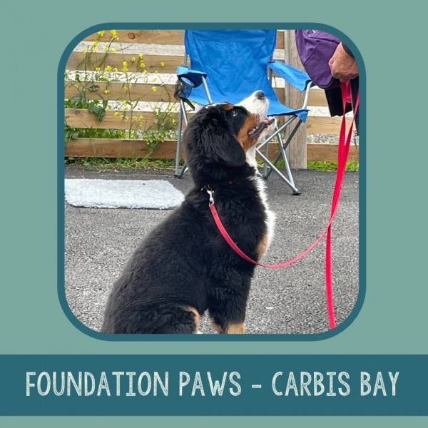 Foundation Paws - Carbis Bay