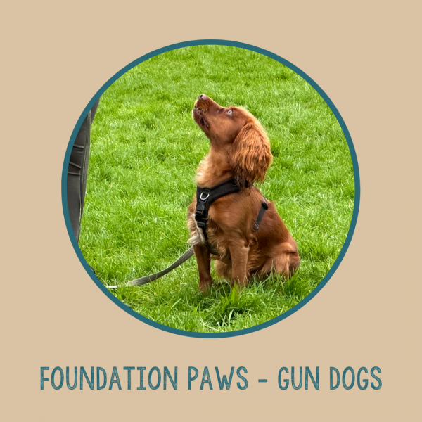 Foundation Paws - Gun Dogs