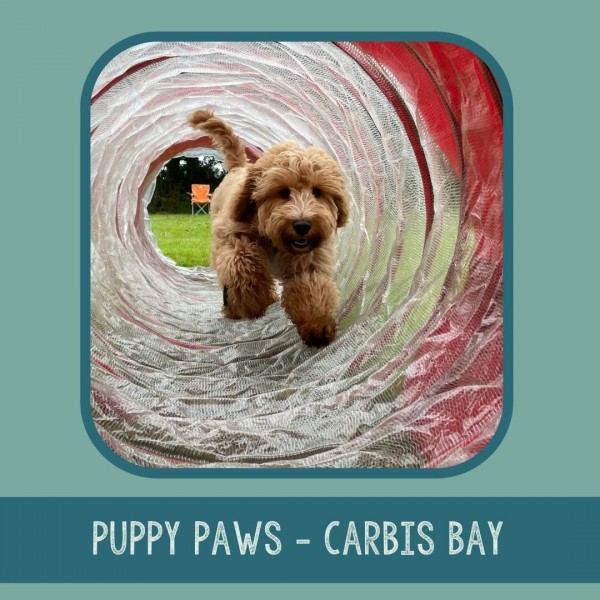 Puppy Paws Carbis Bay