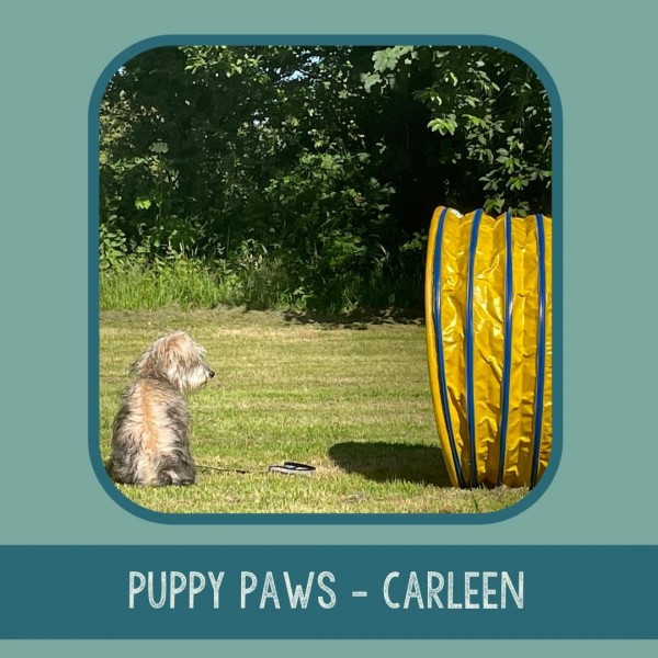 Puppy Paws Carleen