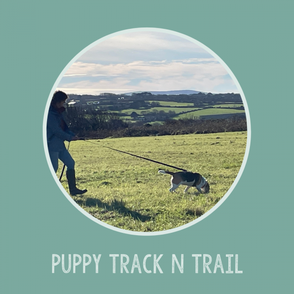 Puppy Track n Trail