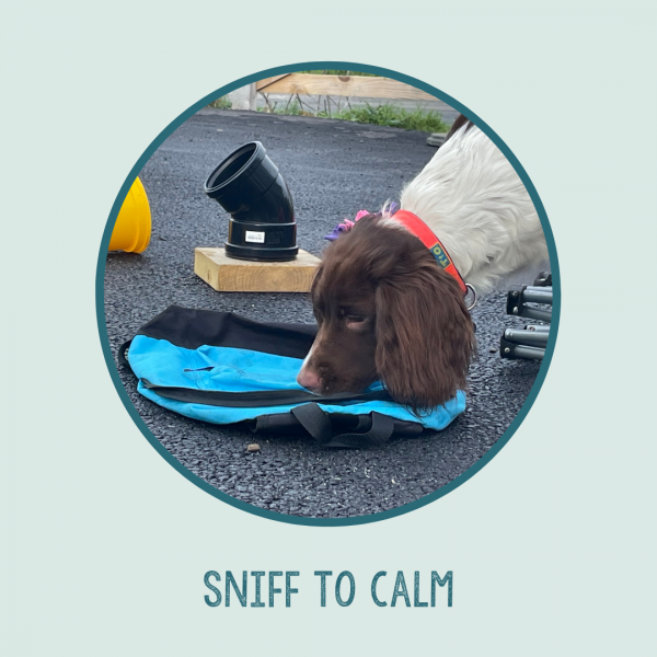 Sniff to Calm