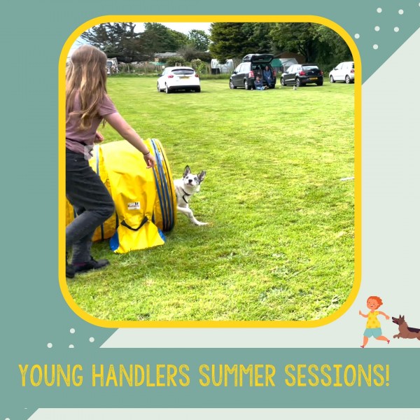 Young Handlers Summer Sessions!